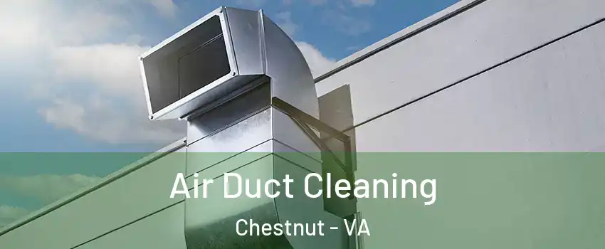 Air Duct Cleaning Chestnut - VA