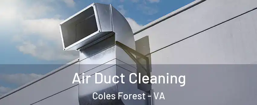 Air Duct Cleaning Coles Forest - VA