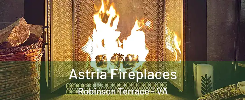 Astria Fireplaces Robinson Terrace - VA