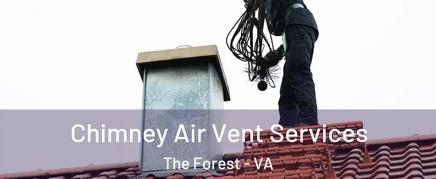 Chimney Air Vent Services The Forest - VA