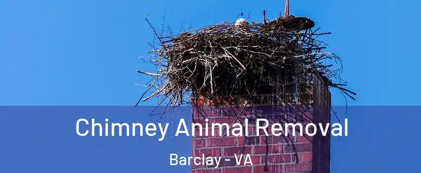 Chimney Animal Removal Barclay - VA