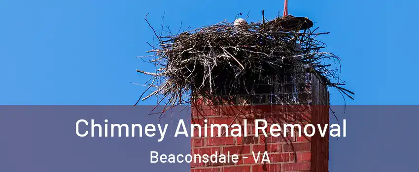 Chimney Animal Removal Beaconsdale - VA