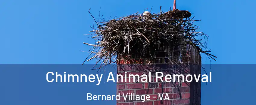 Chimney Animal Removal Bernard Village - VA