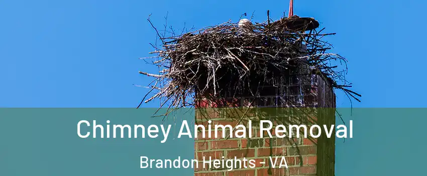 Chimney Animal Removal Brandon Heights - VA