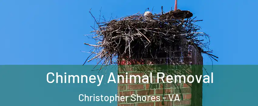 Chimney Animal Removal Christopher Shores - VA