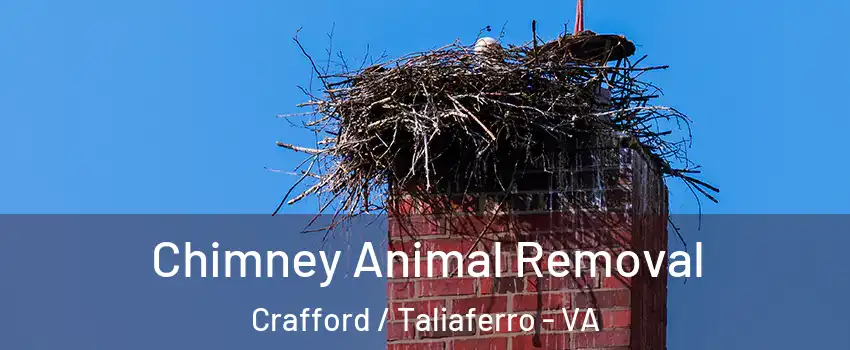 Chimney Animal Removal Crafford / Taliaferro - VA