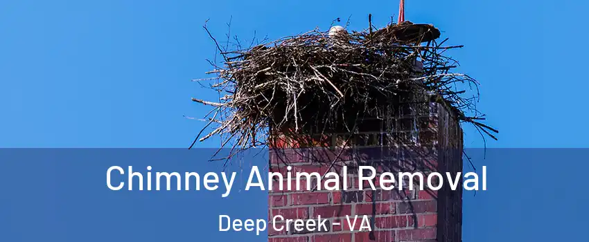 Chimney Animal Removal Deep Creek - VA
