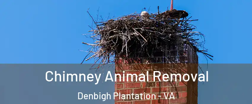 Chimney Animal Removal Denbigh Plantation - VA
