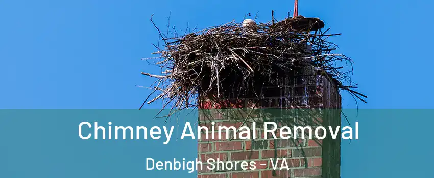 Chimney Animal Removal Denbigh Shores - VA