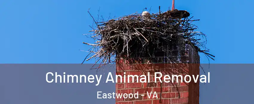 Chimney Animal Removal Eastwood - VA