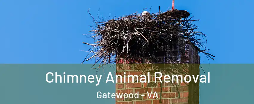Chimney Animal Removal Gatewood - VA