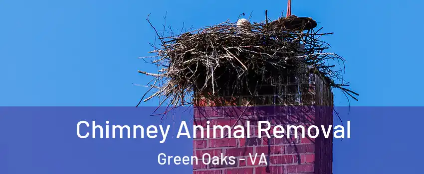 Chimney Animal Removal Green Oaks - VA