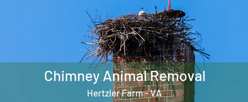 Chimney Animal Removal Hertzler Farm - VA