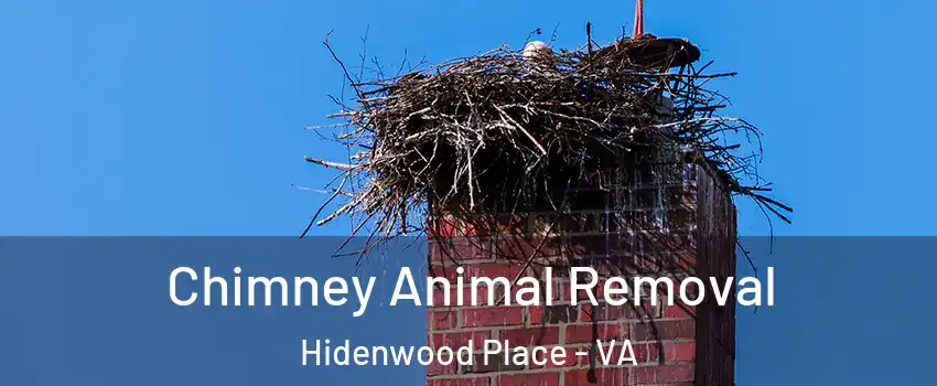Chimney Animal Removal Hidenwood Place - VA