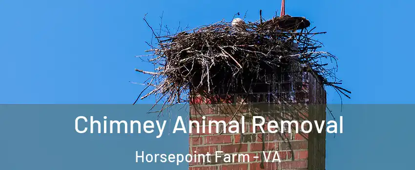 Chimney Animal Removal Horsepoint Farm - VA