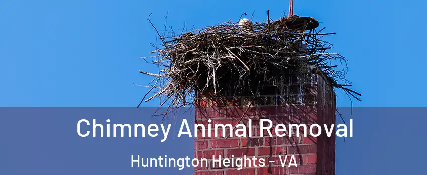 Chimney Animal Removal Huntington Heights - VA