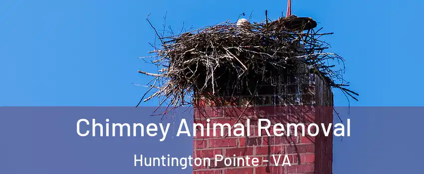 Chimney Animal Removal Huntington Pointe - VA