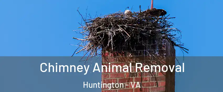 Chimney Animal Removal Huntington - VA
