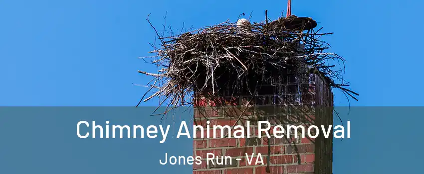 Chimney Animal Removal Jones Run - VA