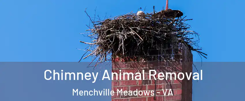 Chimney Animal Removal Menchville Meadows - VA