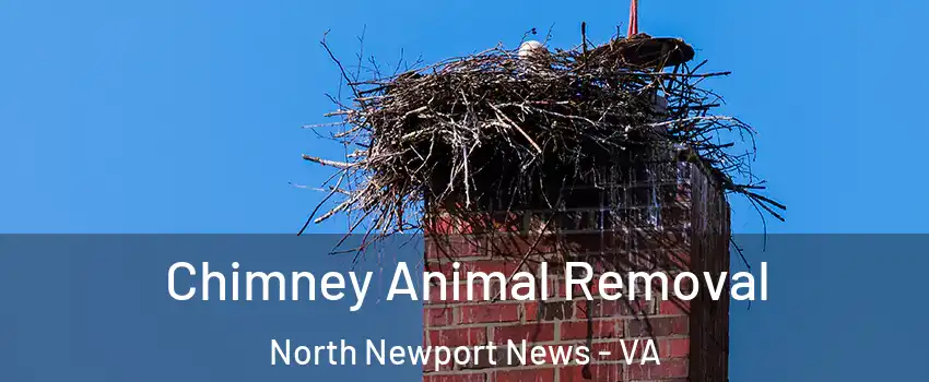 Chimney Animal Removal North Newport News - VA