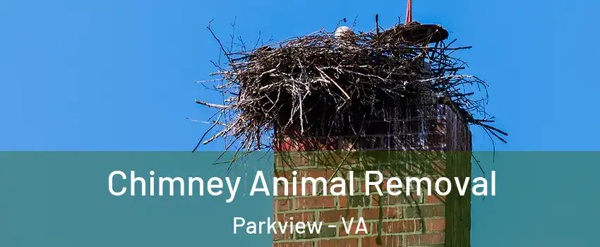 Chimney Animal Removal Parkview - VA