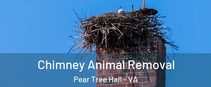 Chimney Animal Removal Pear Tree Hall - VA