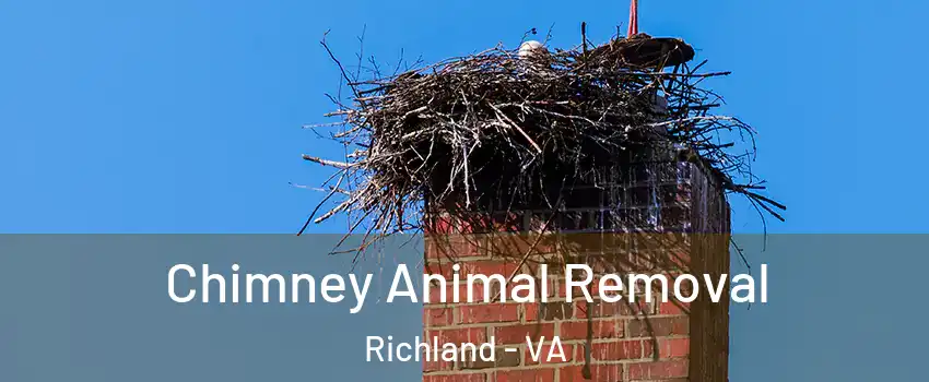 Chimney Animal Removal Richland - VA