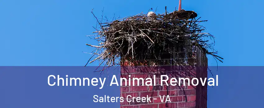 Chimney Animal Removal Salters Creek - VA