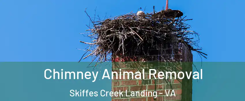 Chimney Animal Removal Skiffes Creek Landing - VA