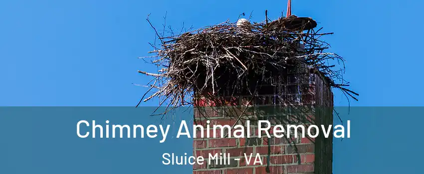 Chimney Animal Removal Sluice Mill - VA