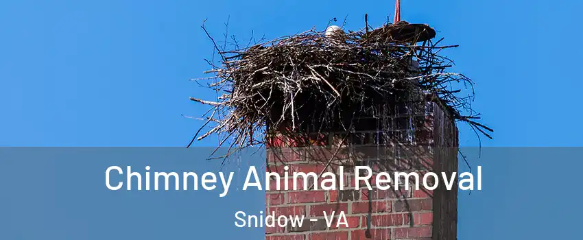 Chimney Animal Removal Snidow - VA