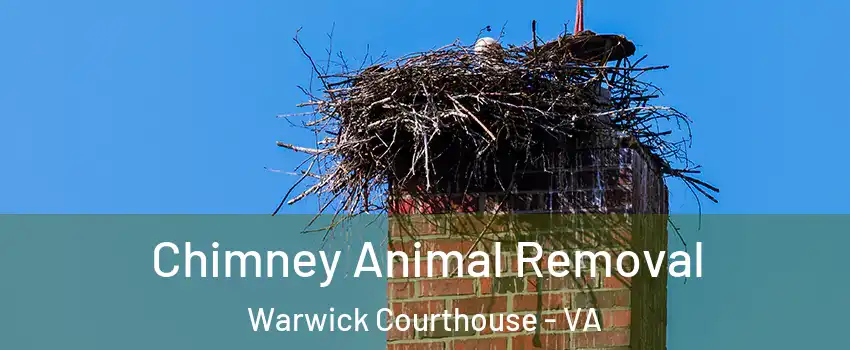Chimney Animal Removal Warwick Courthouse - VA