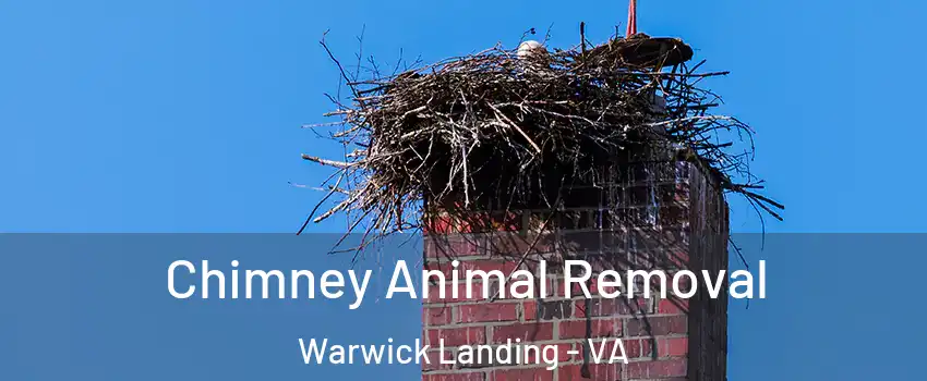 Chimney Animal Removal Warwick Landing - VA