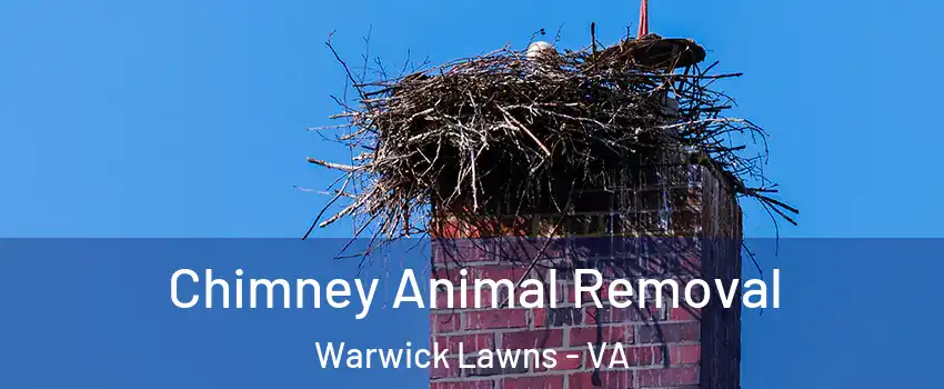 Chimney Animal Removal Warwick Lawns - VA