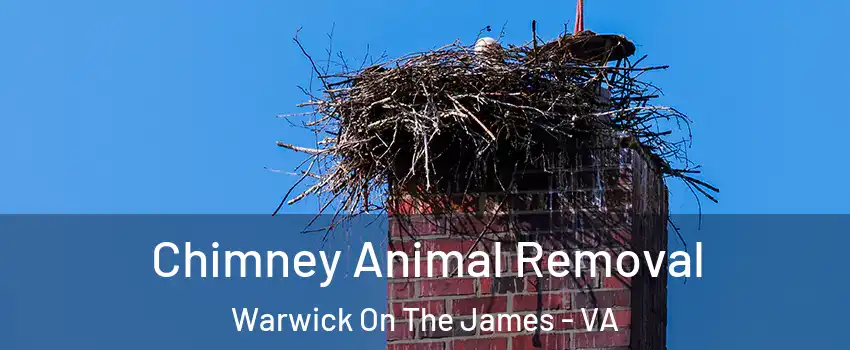 Chimney Animal Removal Warwick On The James - VA