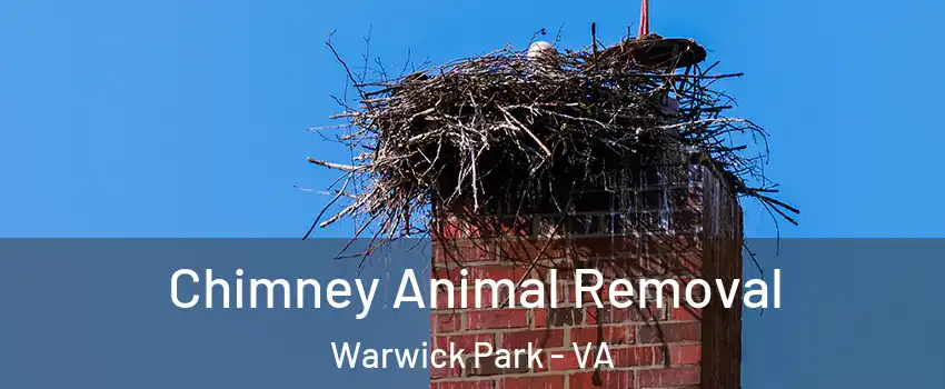 Chimney Animal Removal Warwick Park - VA