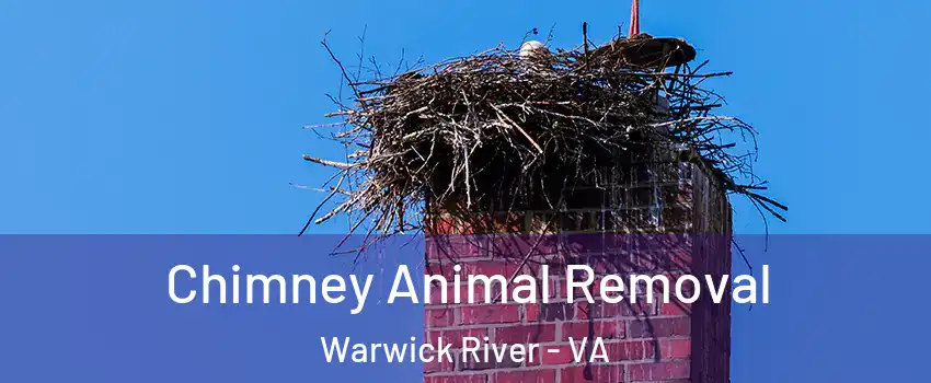 Chimney Animal Removal Warwick River - VA