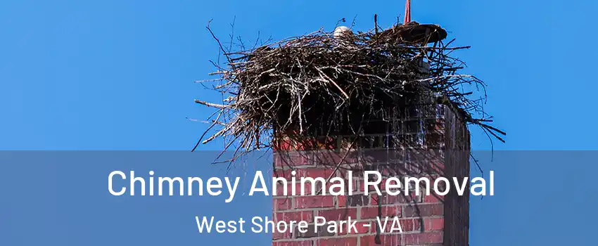 Chimney Animal Removal West Shore Park - VA
