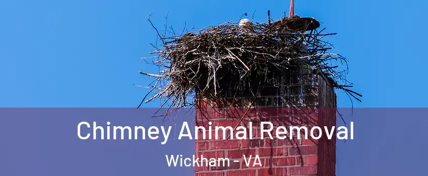 Chimney Animal Removal Wickham - VA