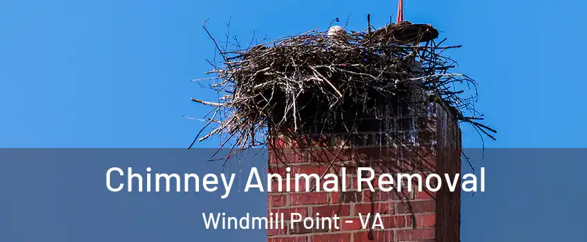 Chimney Animal Removal Windmill Point - VA