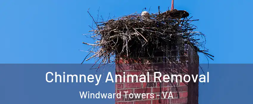 Chimney Animal Removal Windward Towers - VA