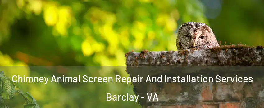 Chimney Animal Screen Repair And Installation Services Barclay - VA