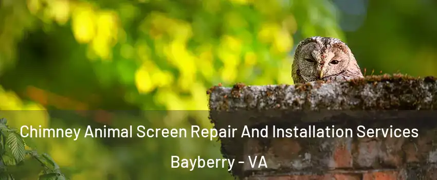 Chimney Animal Screen Repair And Installation Services Bayberry - VA