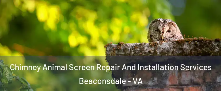 Chimney Animal Screen Repair And Installation Services Beaconsdale - VA