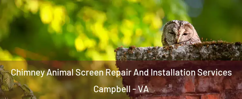 Chimney Animal Screen Repair And Installation Services Campbell - VA
