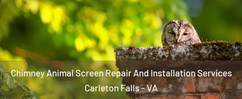 Chimney Animal Screen Repair And Installation Services Carleton Falls - VA