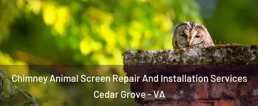 Chimney Animal Screen Repair And Installation Services Cedar Grove - VA
