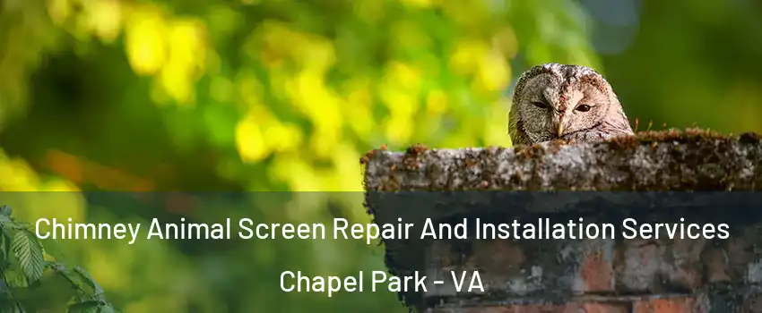 Chimney Animal Screen Repair And Installation Services Chapel Park - VA