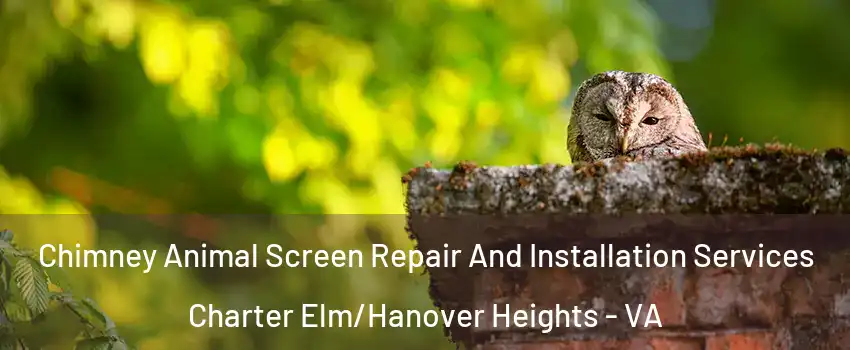 Chimney Animal Screen Repair And Installation Services Charter Elm/Hanover Heights - VA